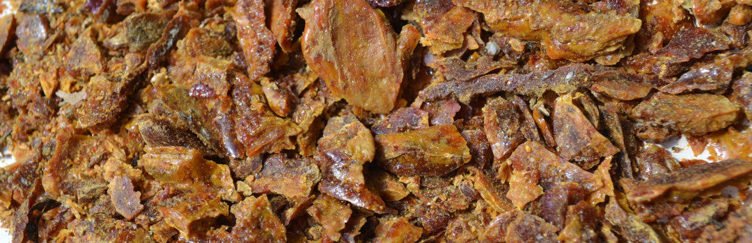 Propolis Sorten Propolis – Honungsriket