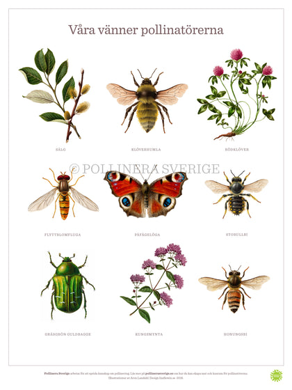 För pollinatörer